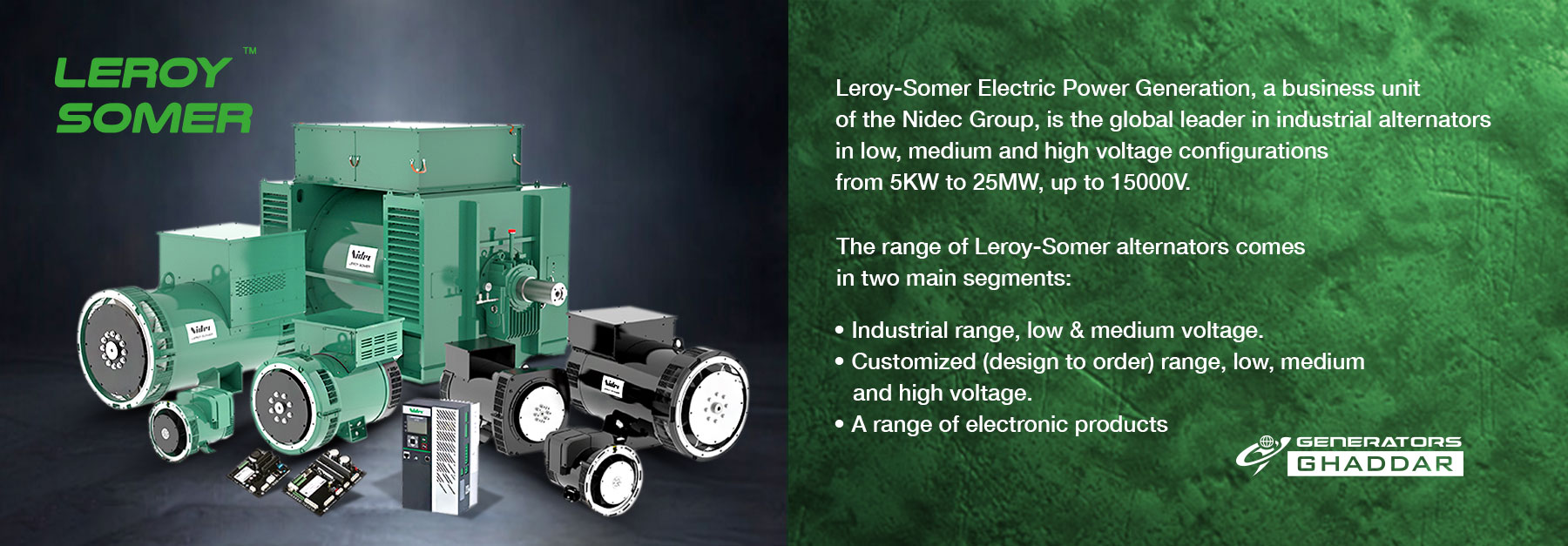 Green Leroy-Somer generators and parts displayed on the left; right side shows a green textured panel with company description text.