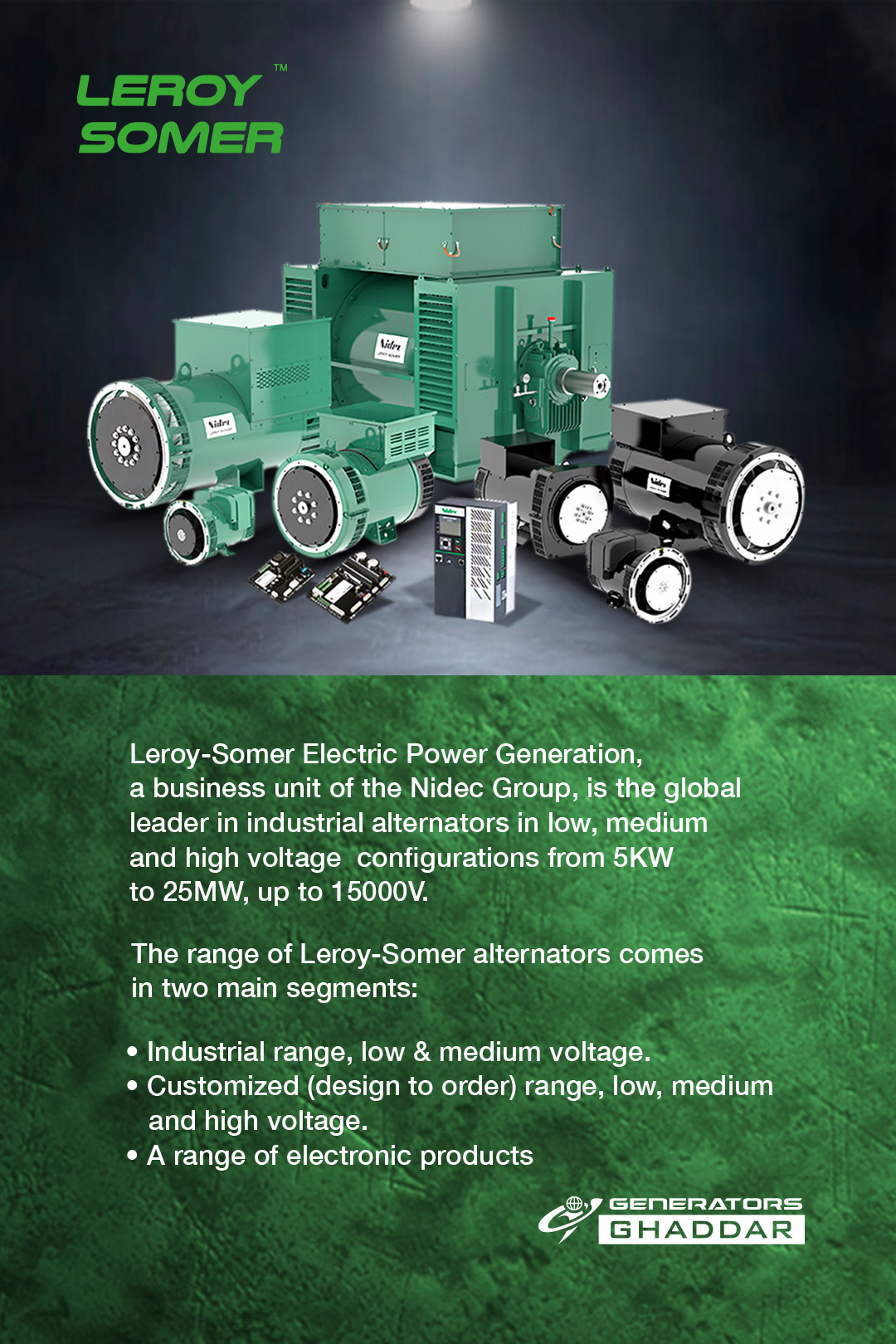 Product banner showing Leroy-Somer industrial generators and control panels on a dark background, with a green textured lower panel and company branding in the corner.